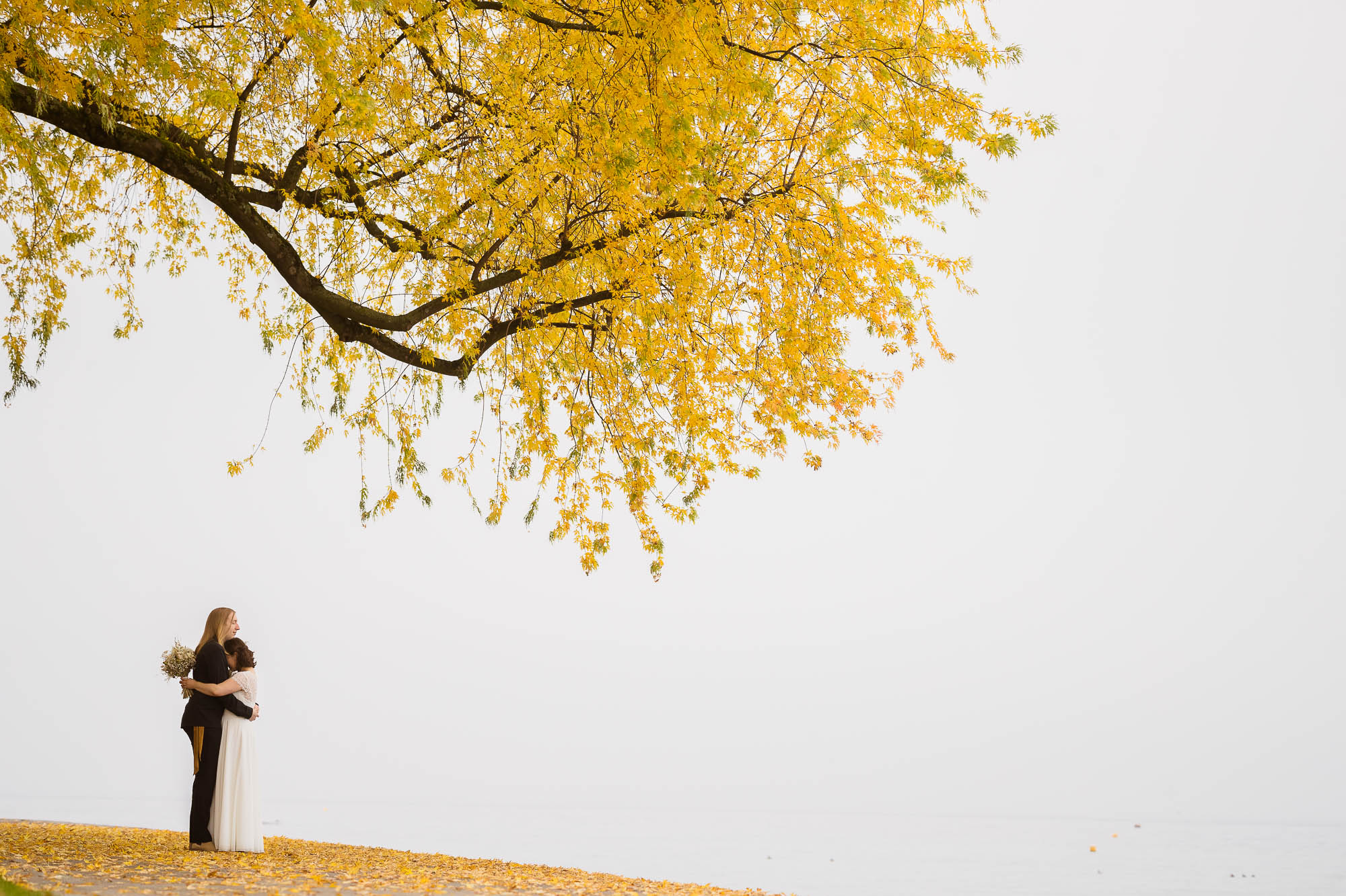 Export x3 1DX29372 Hochzeit 2020 Monika & Sharru 2